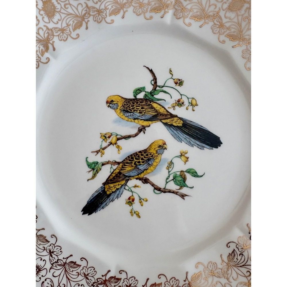 VTG Porcelain Parakeet Budgie Bird Display Plate Gold Chintz Floral Dish
